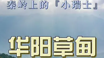 Download Video: 华阳草甸！不愧是秦岭小瑞士！