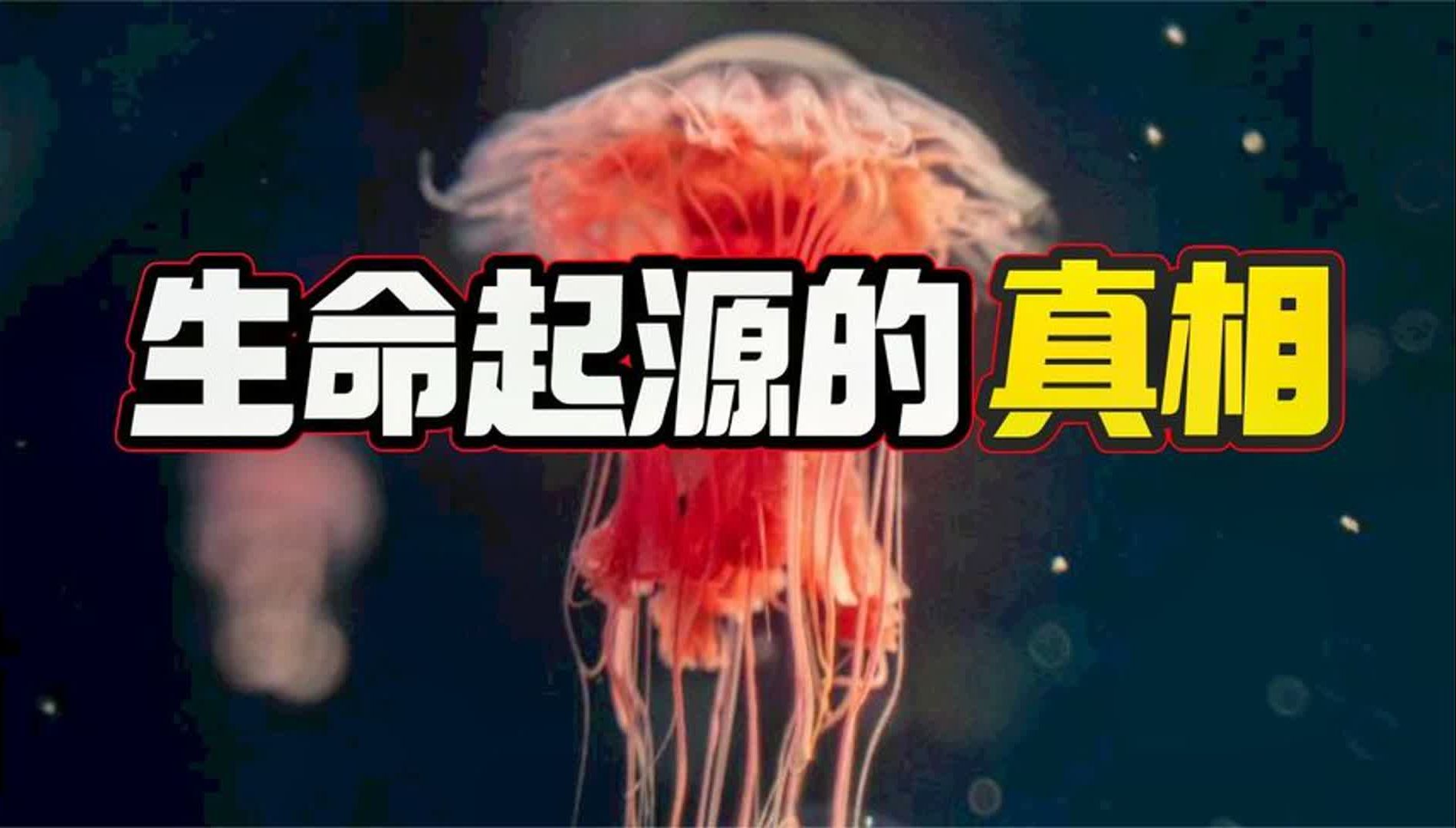 进化论是骗局吗?氨基酸的诡异发现,暗示了生命的出现绝非偶然!哔哩哔哩bilibili