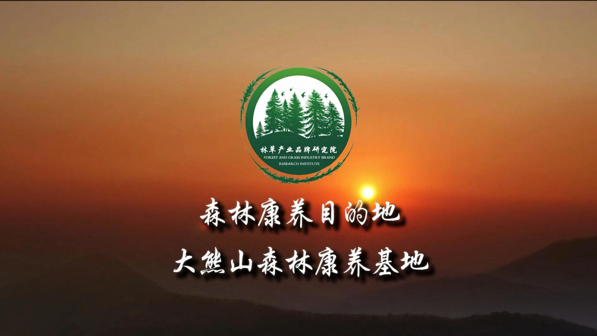 森林康养目的地影响力榜单第十八站带您走进,河南省登封市大熊山森林