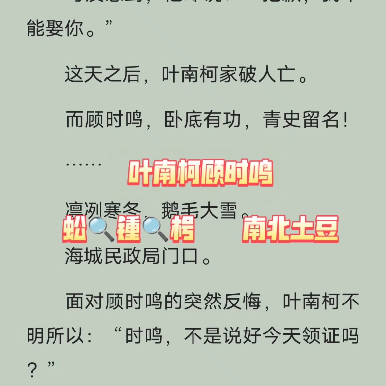 经典言情小说《叶南柯顾时鸣》叶南柯顾时鸣哔哩哔哩bilibili