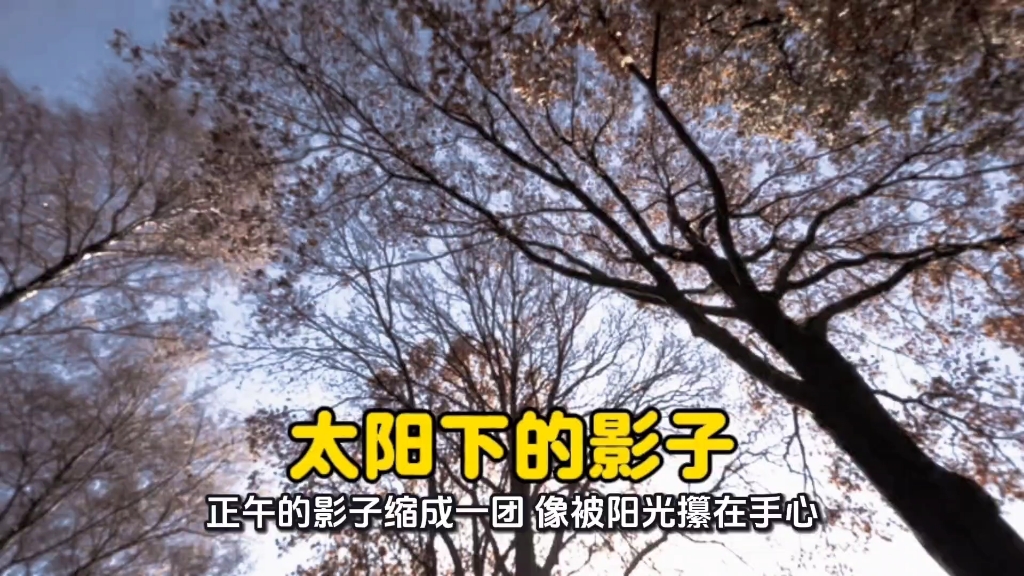 太阳下拍摄影子视频教程，技巧大全