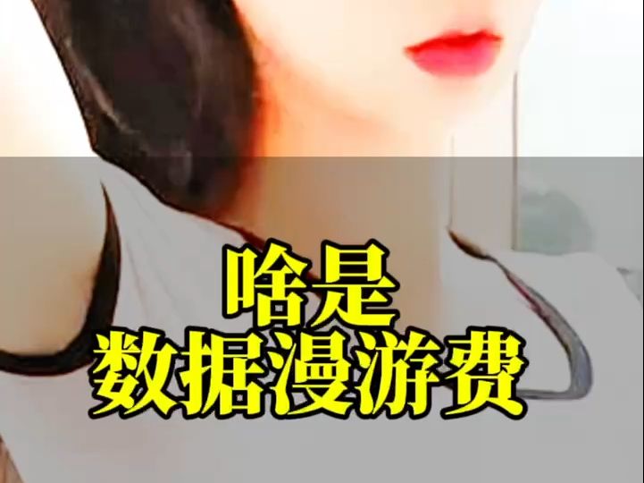 啥是数据漫游哔哩哔哩bilibili