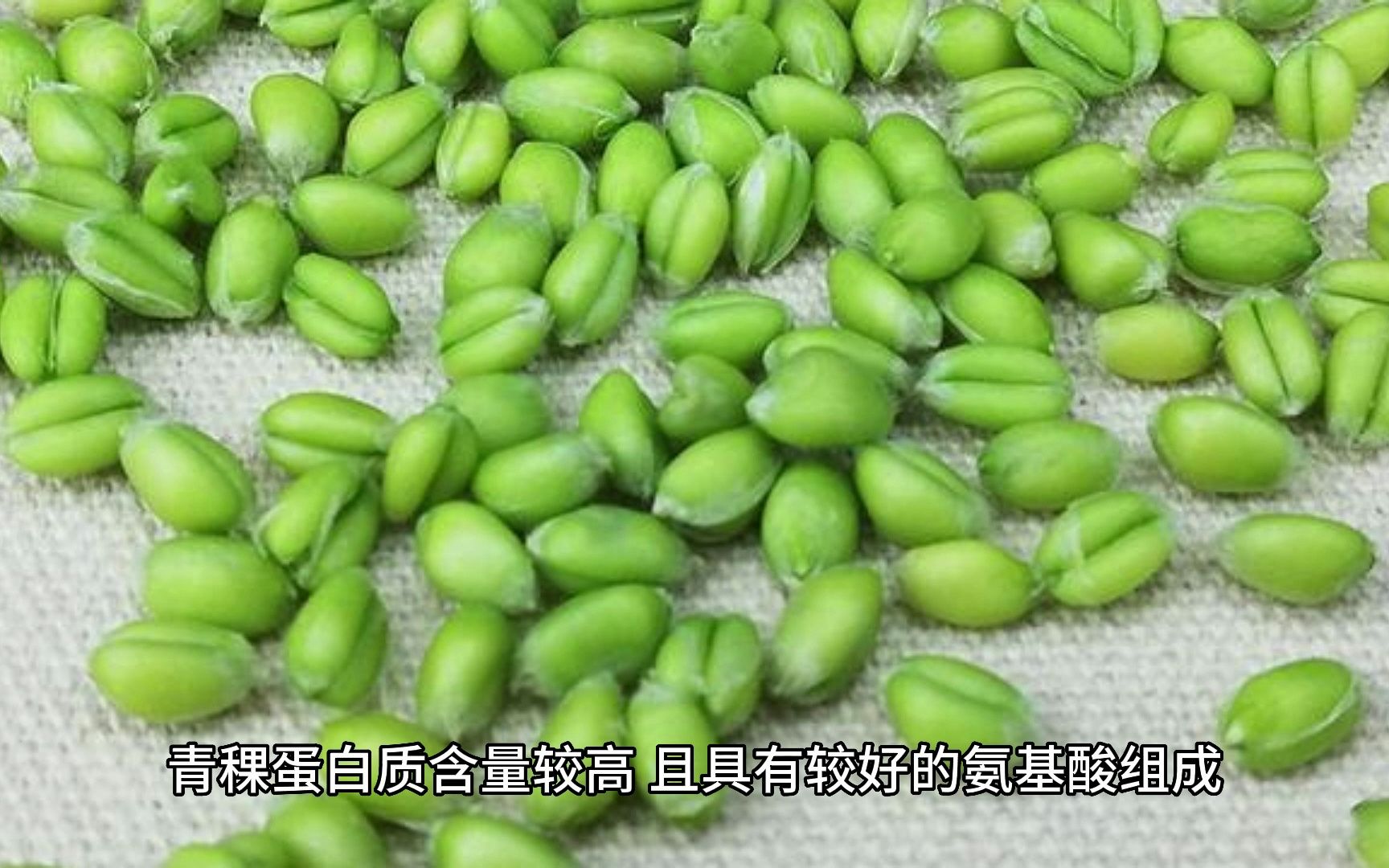 [图]青稞是什么食物