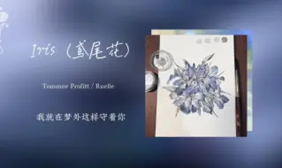 Descargar video: 《Iris（鸢尾花）》Tommee Profitt / Ruelle“当我对世事厌倦的时候，我就会想到你”