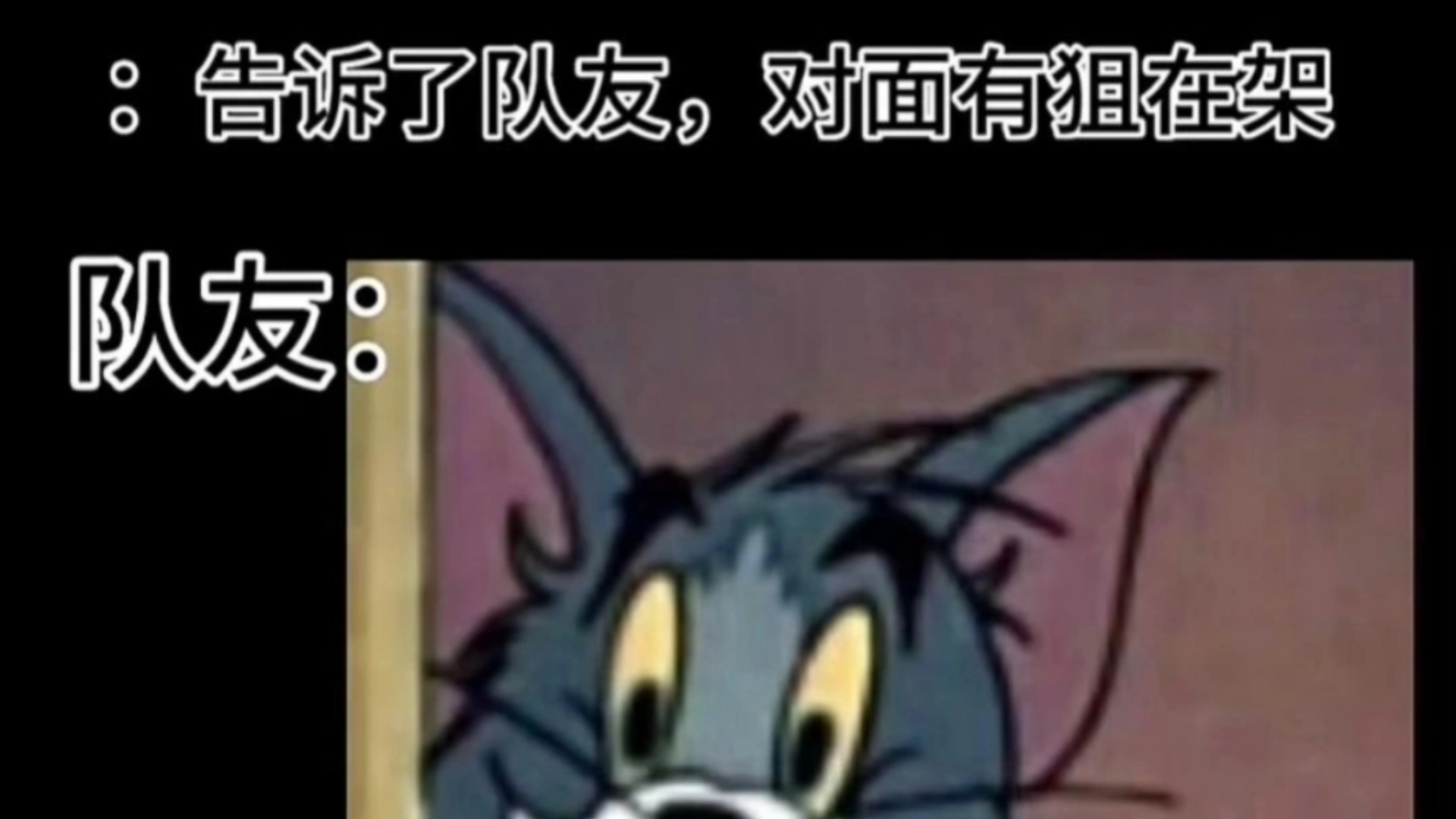 汤姆猫meme图哔哩哔哩bilibili