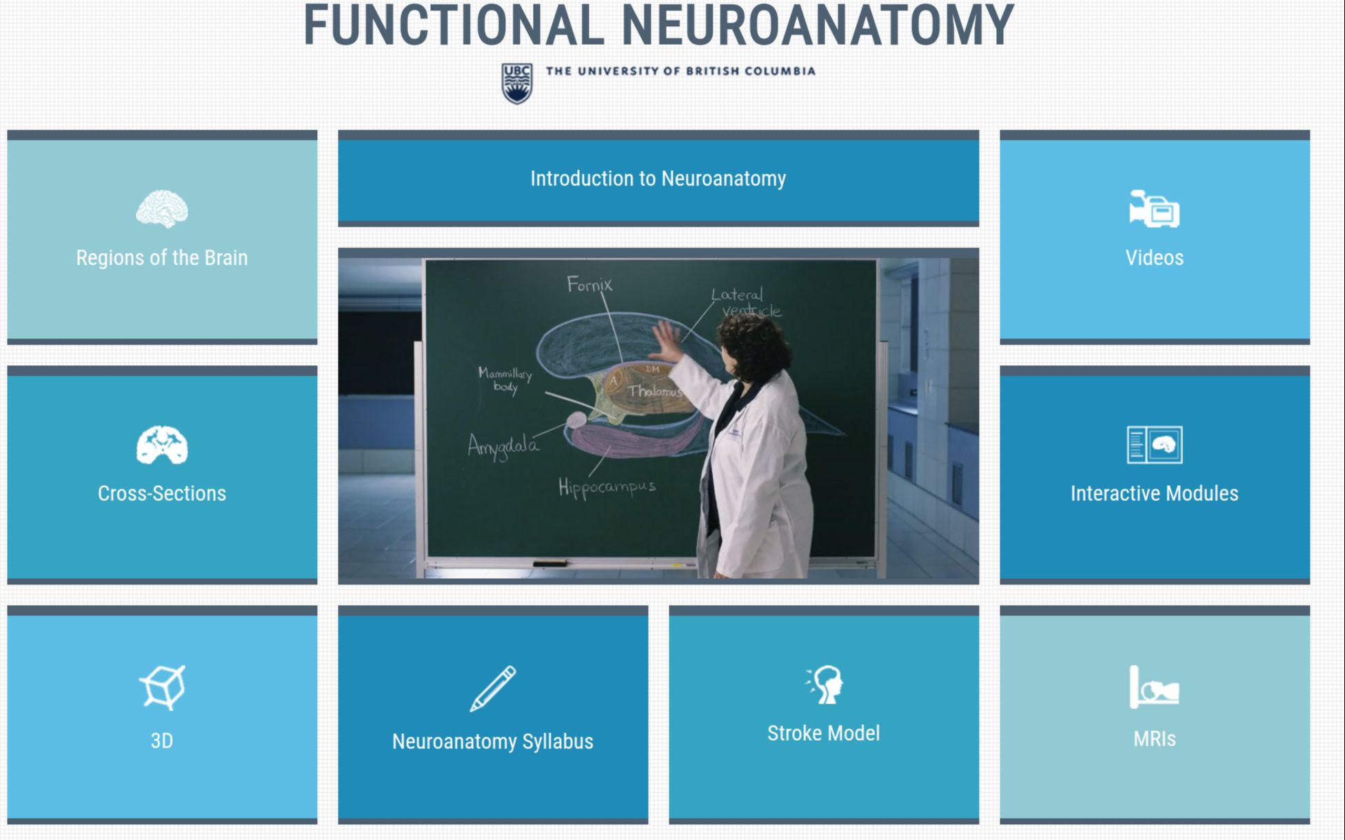 [图]推荐：学习神经解剖学非常棒的网站 UBC Neuroanatomy