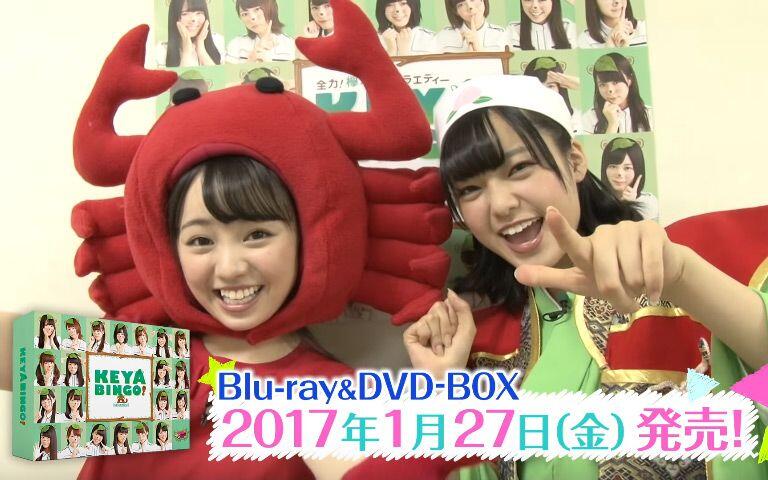 欅坂46 KEYABINGO Blu-ray BOX 全碟特典超清版_哔哩哔哩_bilibili