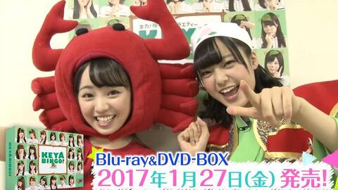 欅坂46 KEYABINGO Blu-ray BOX 全碟特典超清版-哔哩哔哩