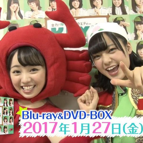 欅坂46 KEYABINGO Blu-ray BOX 全碟特典超清版_哔哩哔哩_bilibili