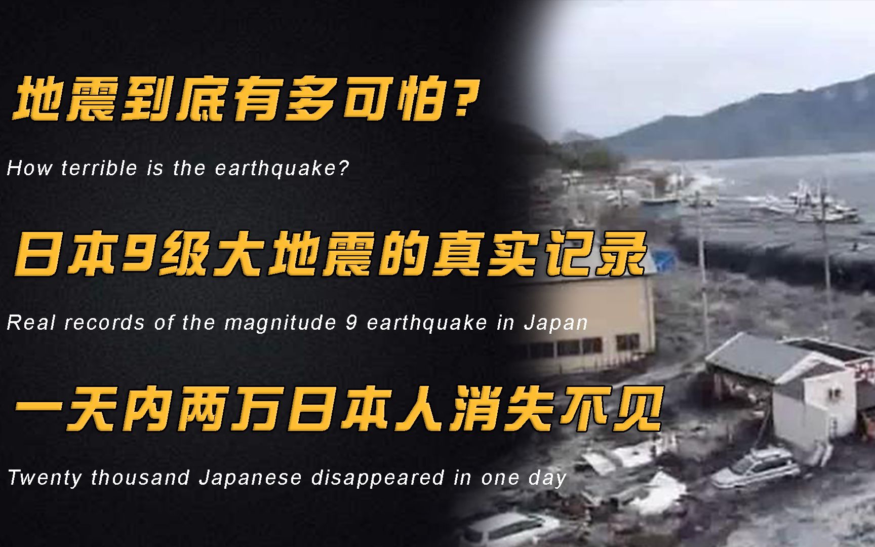 地震到底有多可怕?日本9级大地震的真实记录,一天内两万日本人消失不见!哔哩哔哩bilibili