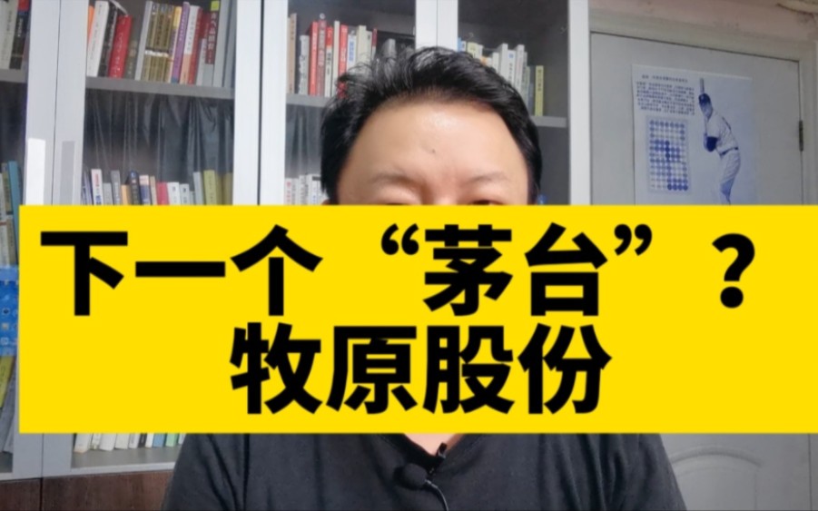 刘晖(289)价值投资者的大机会来了,下一个“茅台”牧原股份?哔哩哔哩bilibili