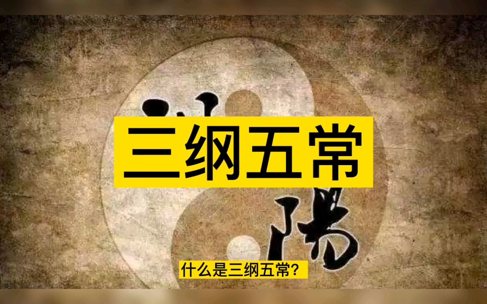 什么是三纲五常哔哩哔哩bilibili