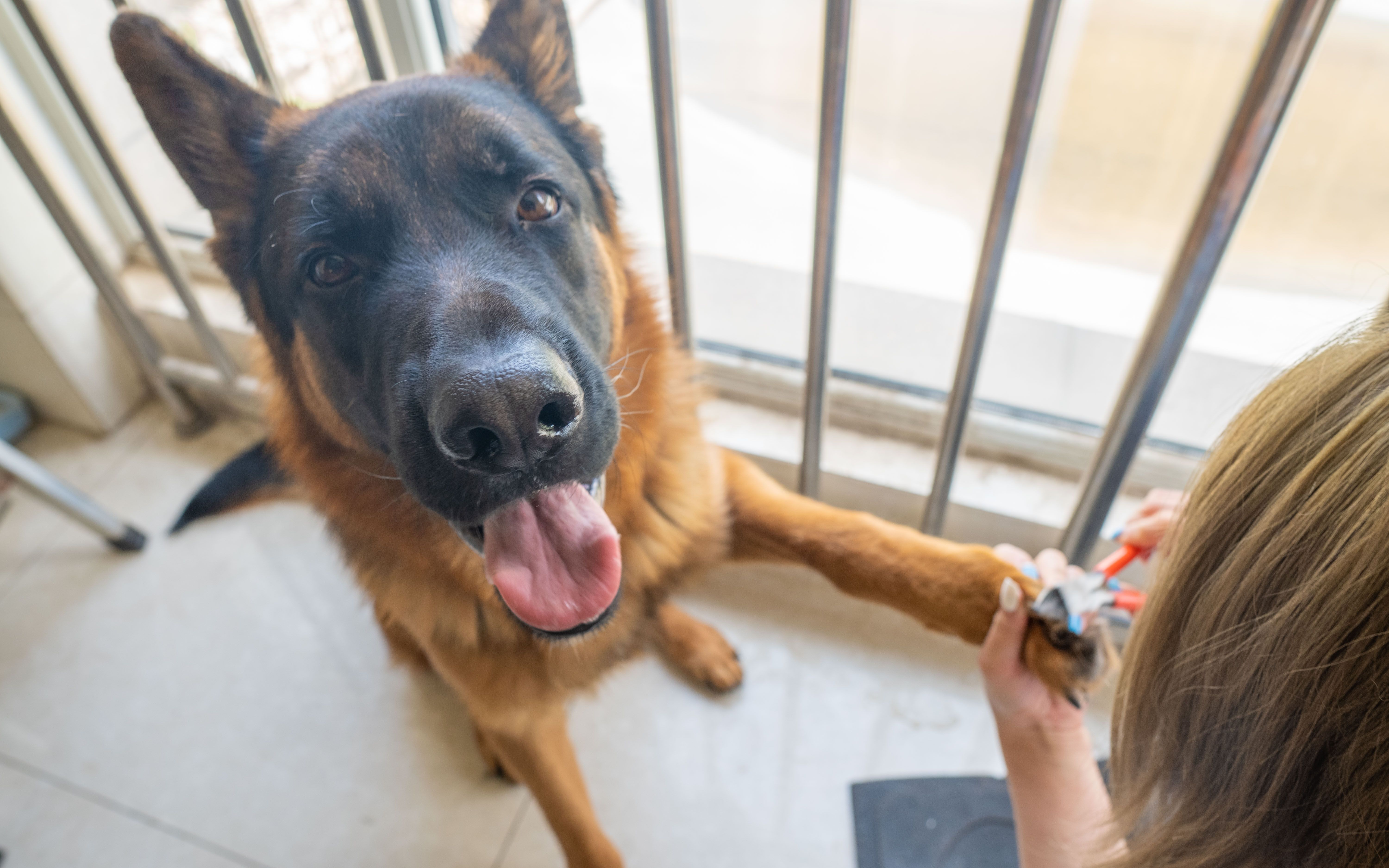 把大建狗惯出一身臭毛病的某人又回来了