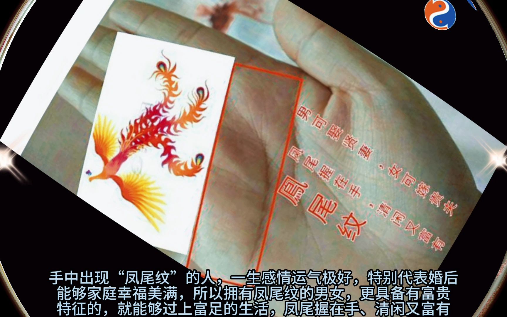 手相"凤尾纹"!