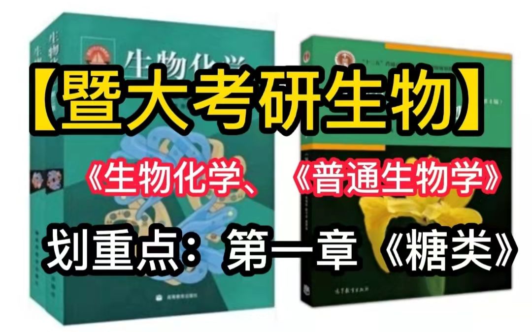 【暨南大学生物考研】生物化学划重点:第一章《糖类》| 专业课一轮怎么复习?| 分章节知识点巩固哔哩哔哩bilibili