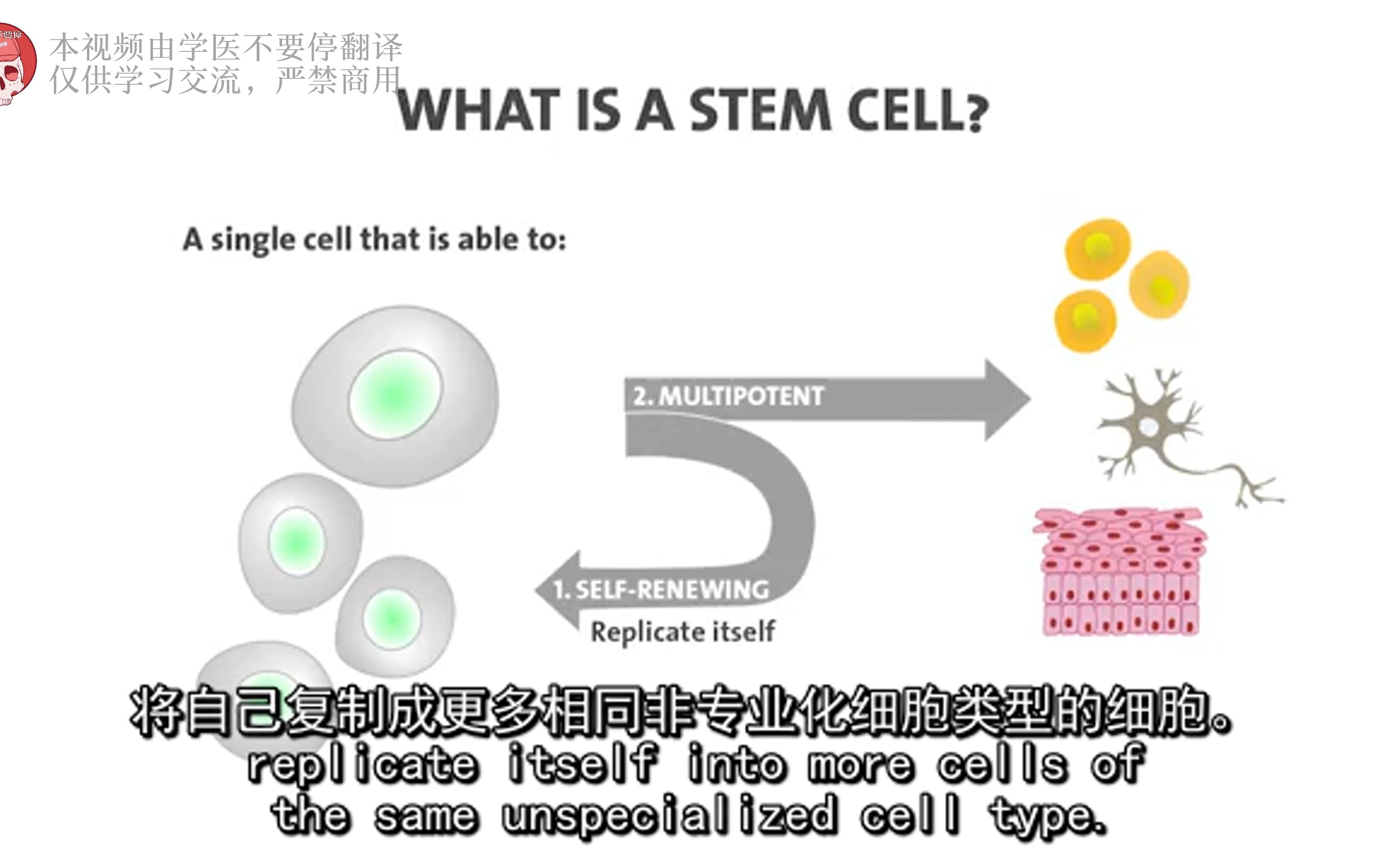 [图]【干细胞科学】| 10.11 敲敲你，来学习干细胞史（上）啦！