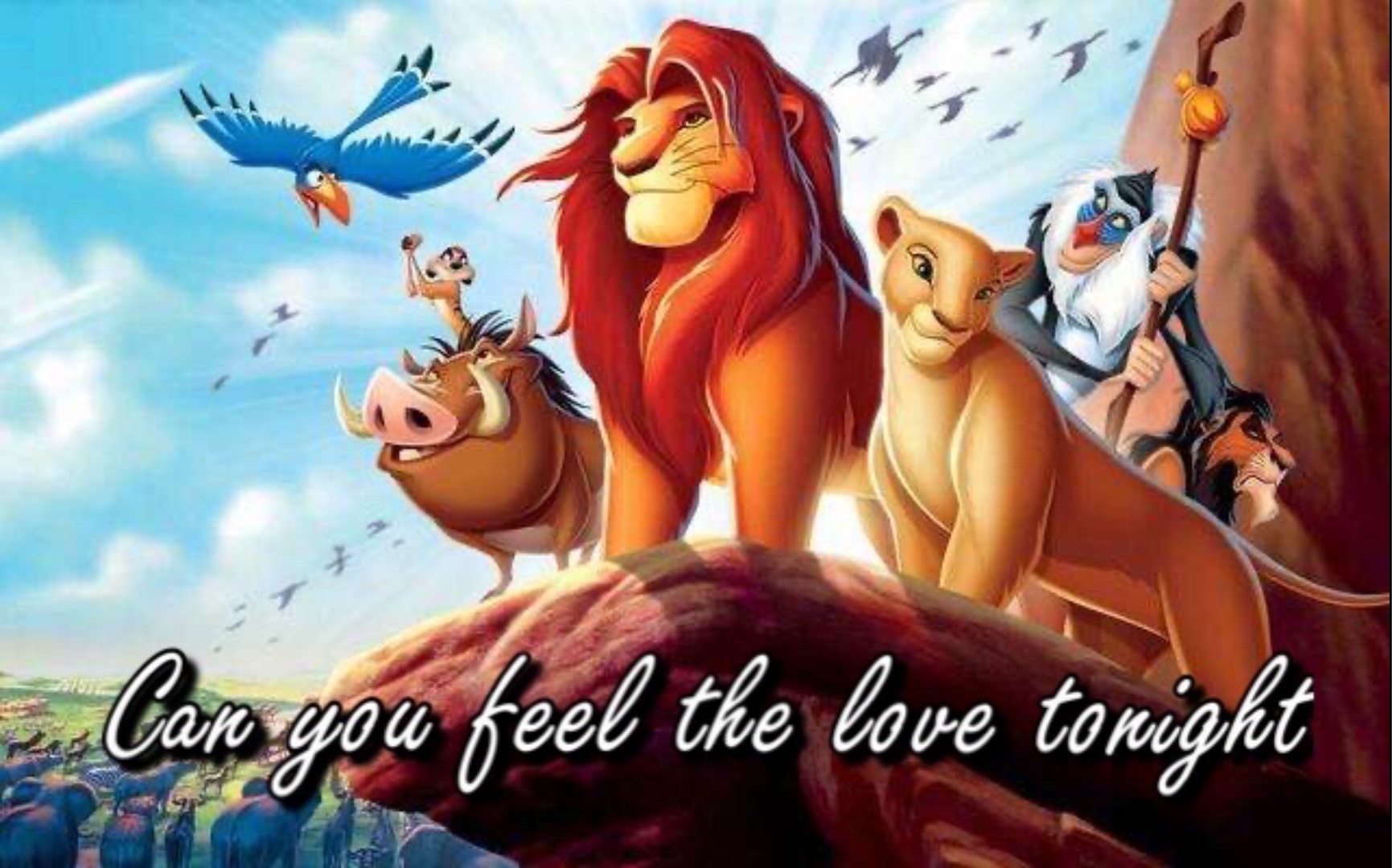 英文翻唱狮子王主题曲canyoufeelthelovetonight