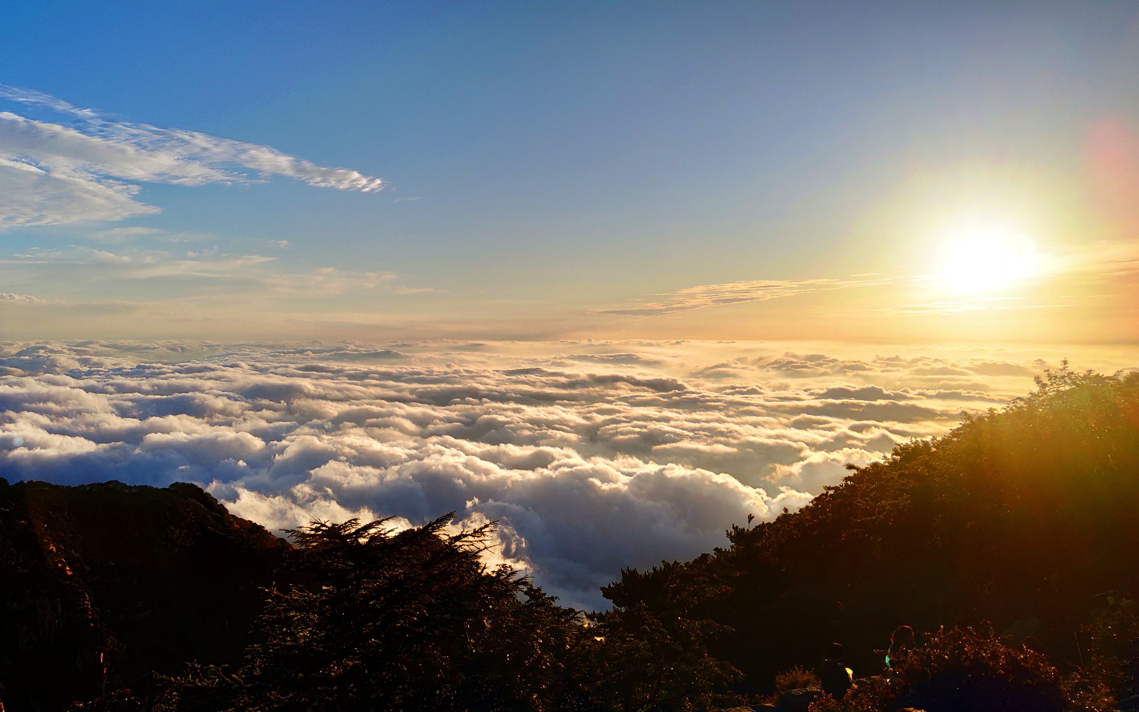 活动  在"利奇马"到来的前一天去泰山看日出