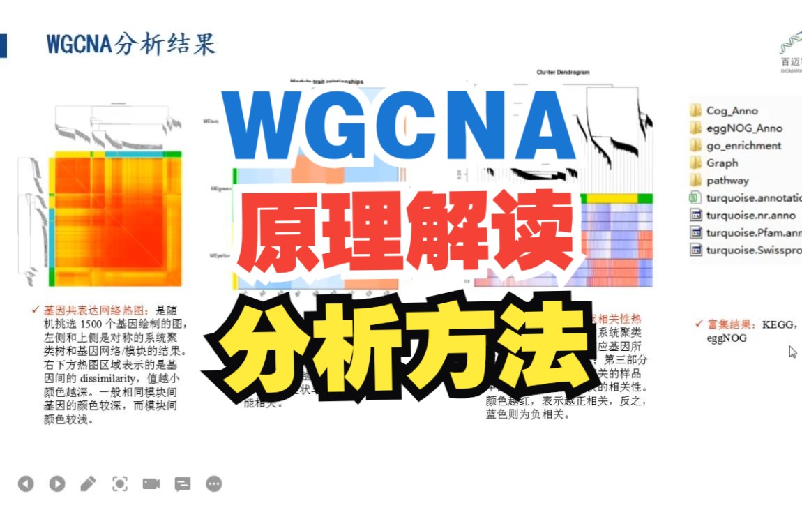 超详细教程!WGCNA分析原理解读及分析教程【百迈客生物】哔哩哔哩bilibili