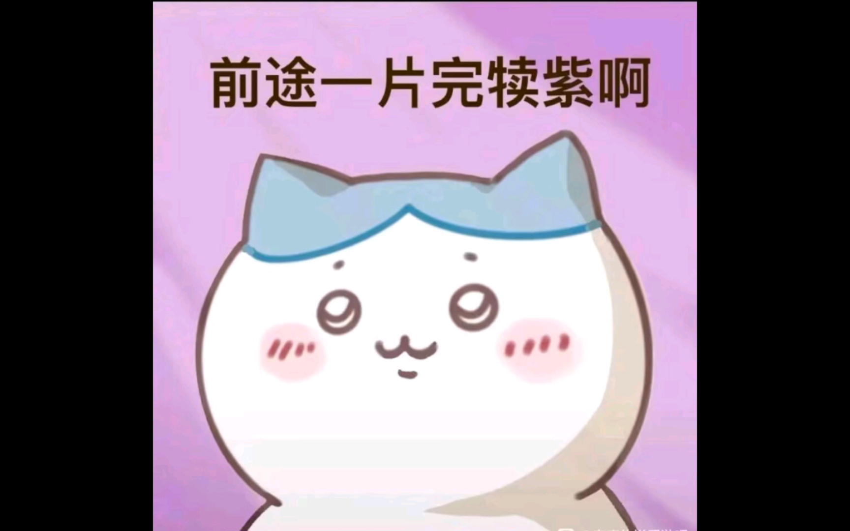 【apex哨兵狗】打狙的前途那简直是一片丸独紫呀