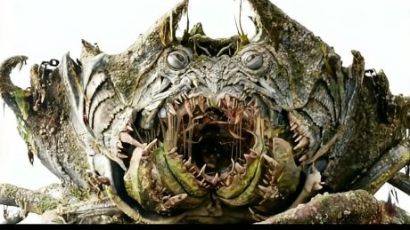 这么大个螃蟹不知道要吃多久