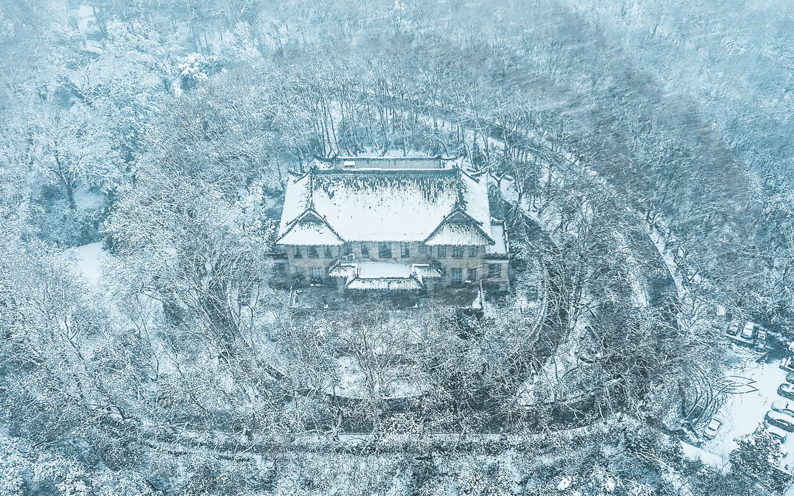 南京雪,一朝金陵雪,半梦醉人间哔哩哔哩bilibili