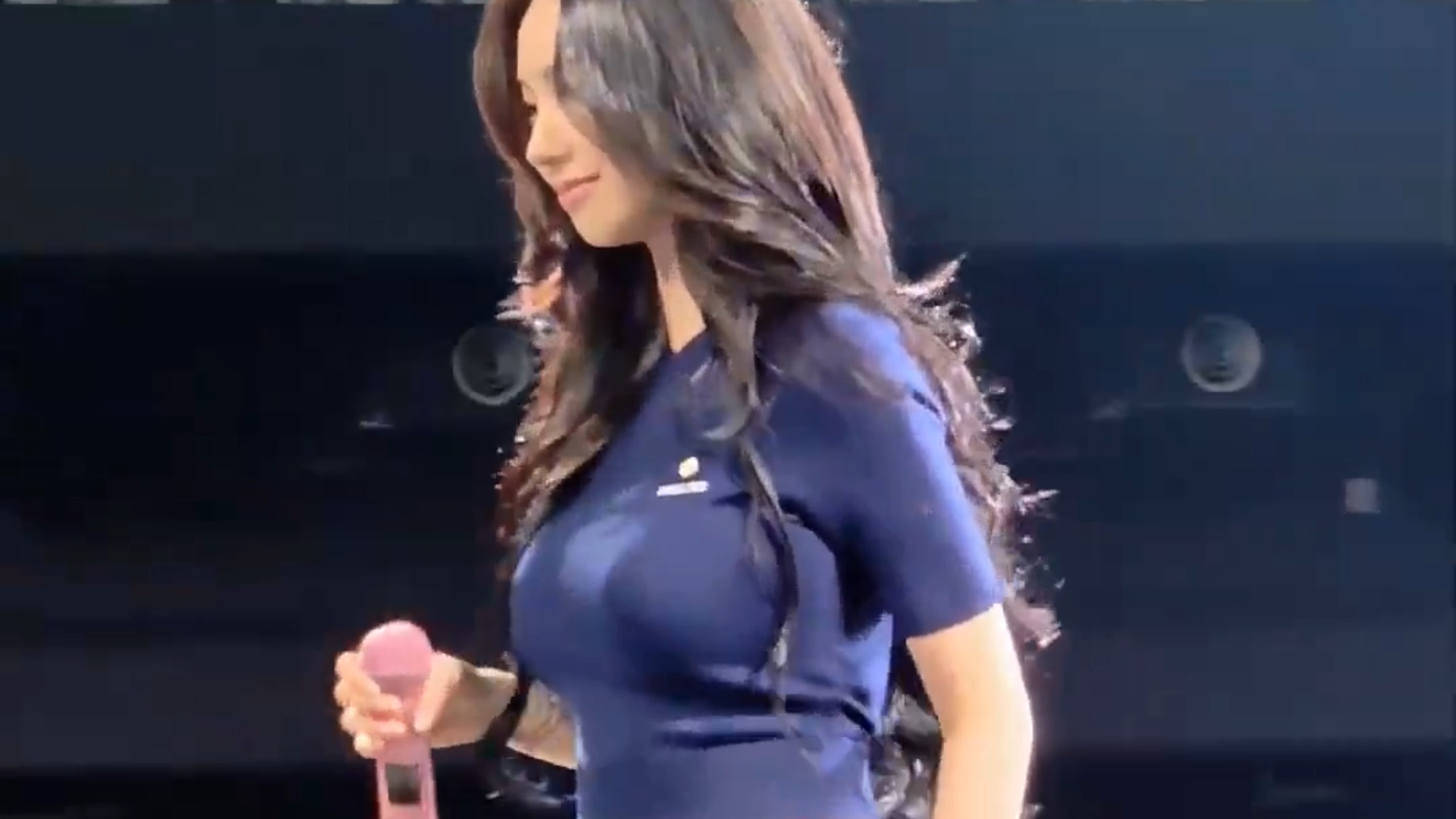 柳智敏