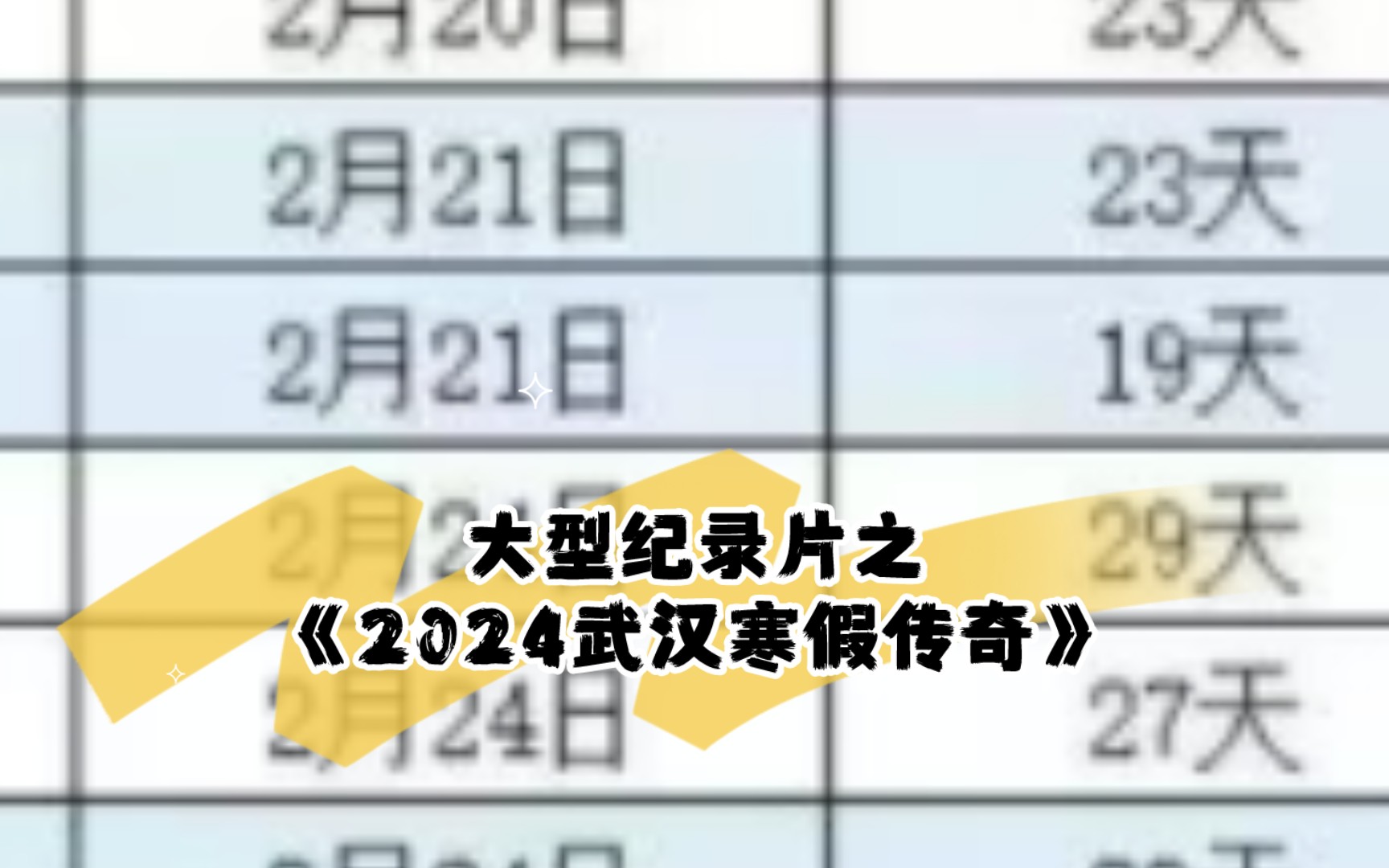 [图]大型纪录片之《武汉2024寒假传奇》