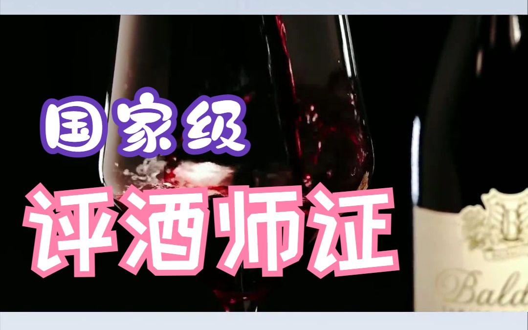 国家级评酒师证酒行业的必备证书哔哩哔哩bilibili