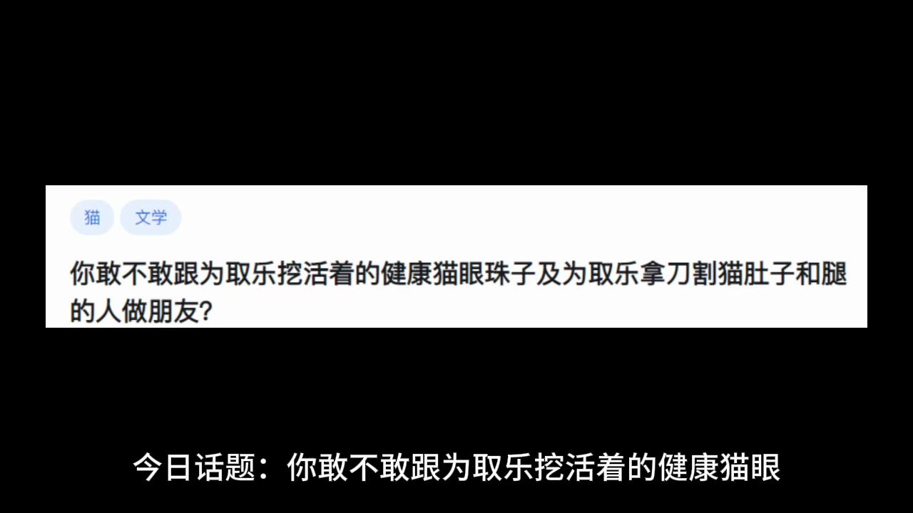 你敢不敢跟为取乐挖活着的健康猫眼珠子及为取乐拿刀割猫肚子和腿的人做朋友?哔哩哔哩bilibili