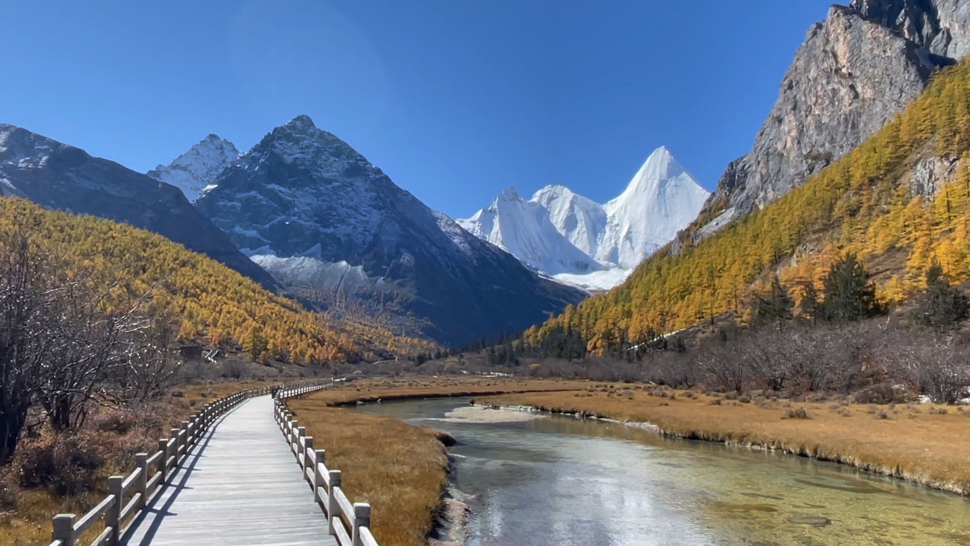 央迈勇雪山图片图片