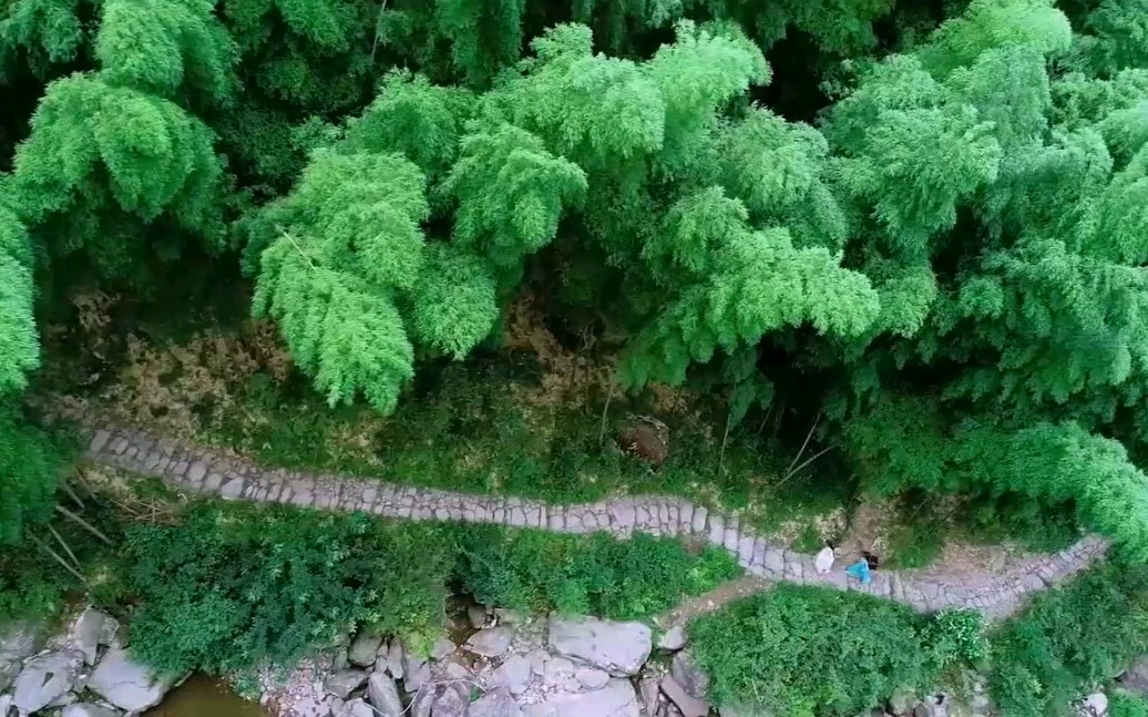 人间烟火花小厨拍摄地图片