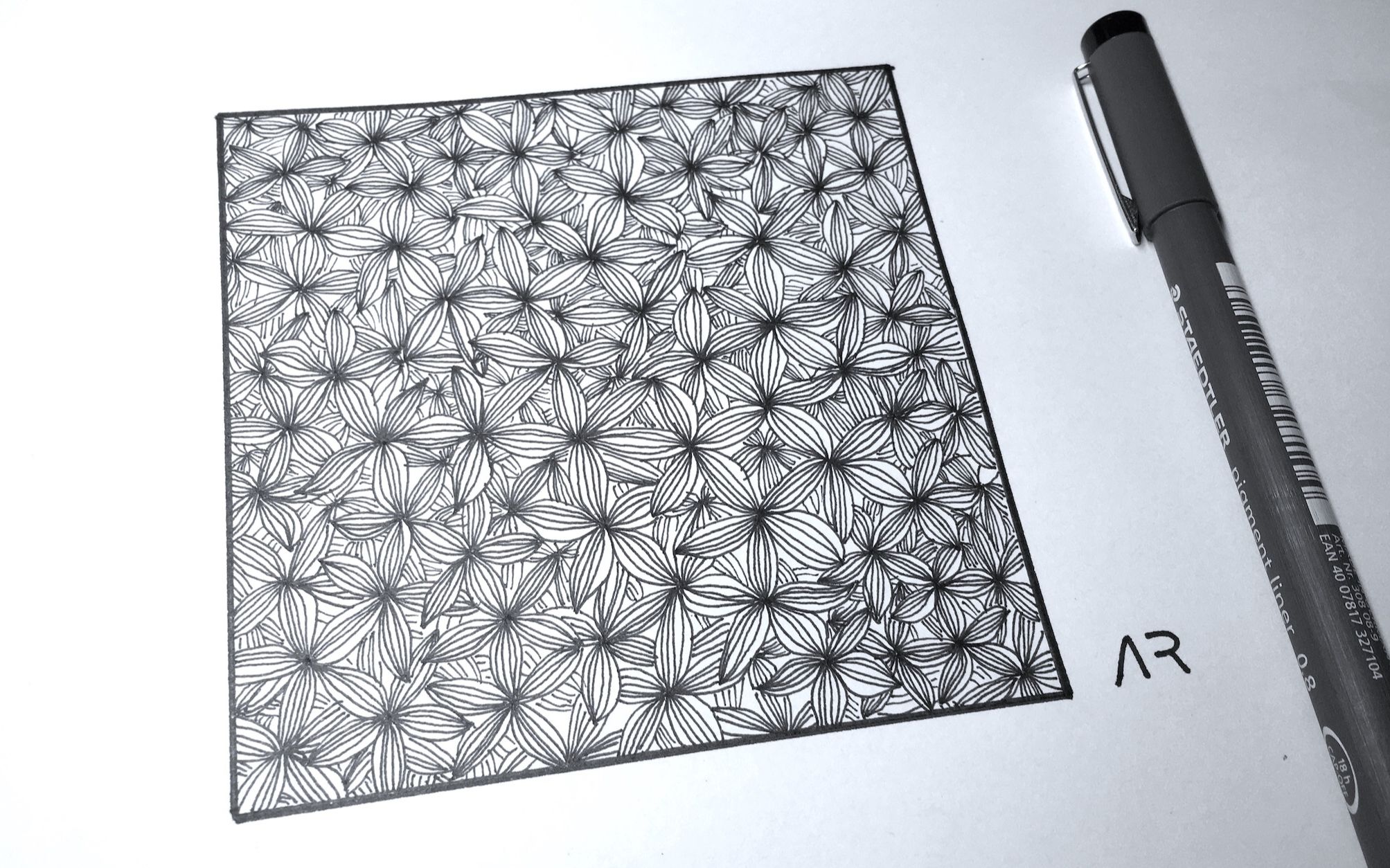 禅绕画 针管笔 绘画 速绘 初学者 自学 Zentangle Flower Petal Pattern Drawing for Beginners哔哩哔哩bilibili