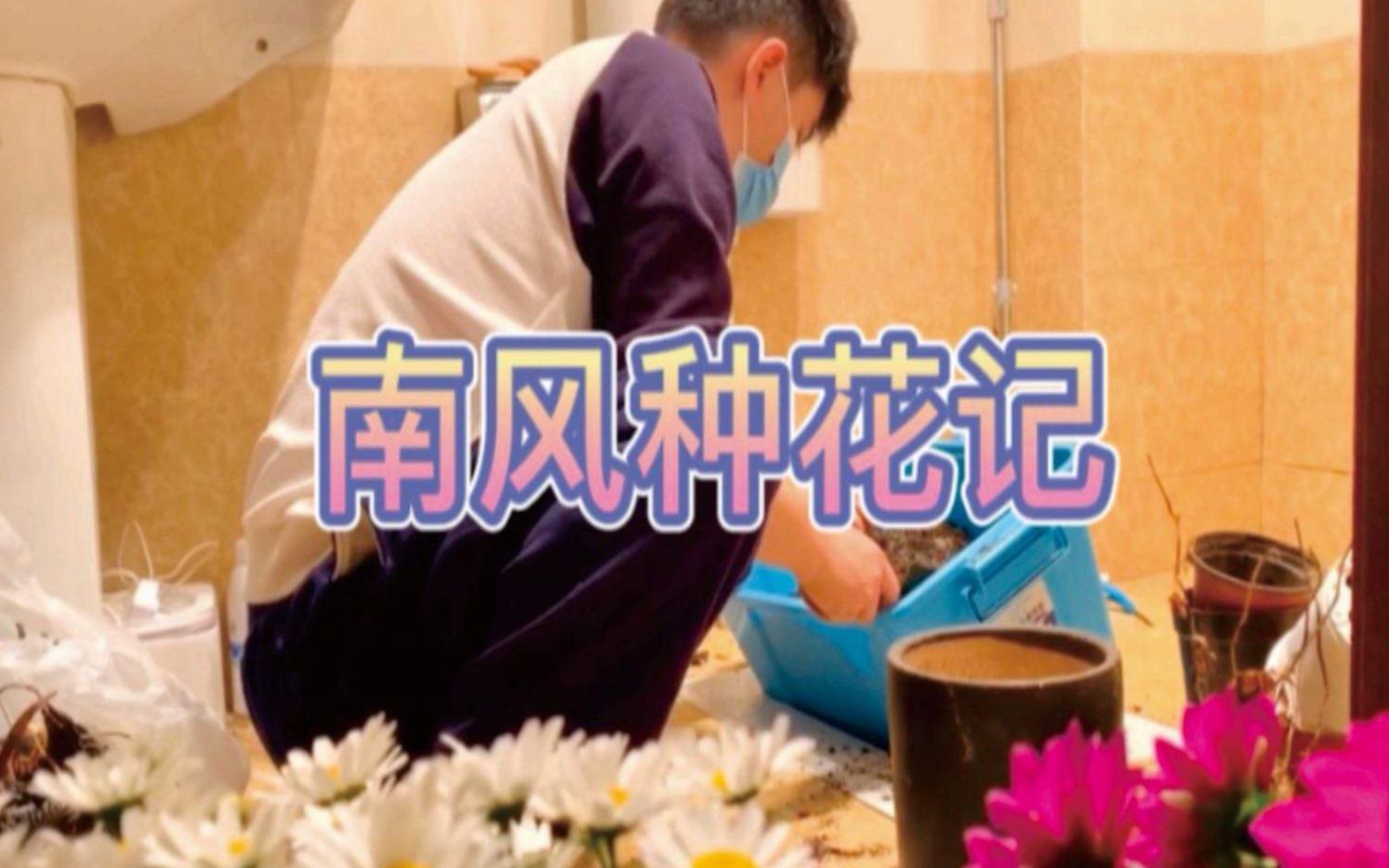 南风夫夫(南风种花记)哔哩哔哩bilibili