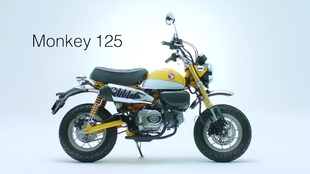 品味小车honda Monkey 125 差点签下去 第一人称 哔哩哔哩 つロ干杯 Bilibili