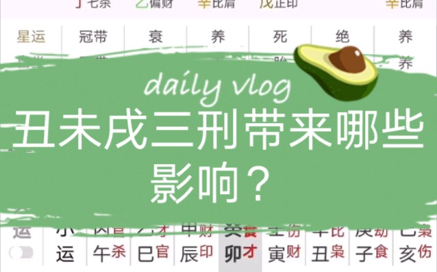 丑未戌三刑带来哪些影响?你看看都有哪些弊端?有反馈!哔哩哔哩bilibili