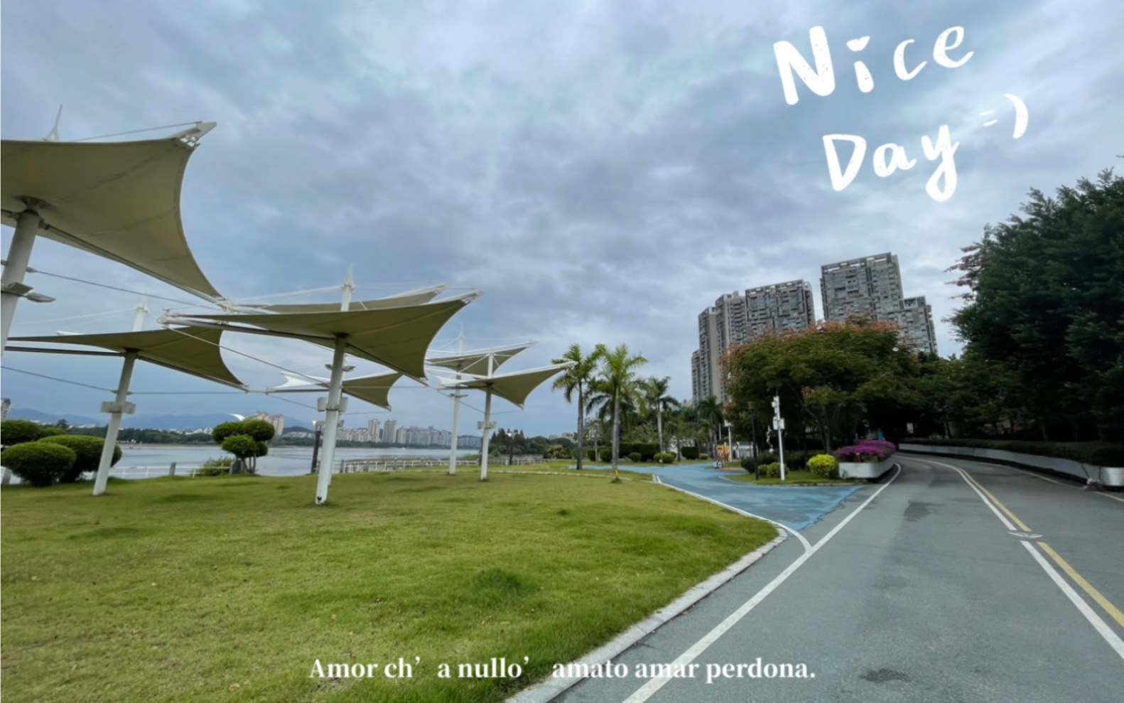 我的江滨公园之行