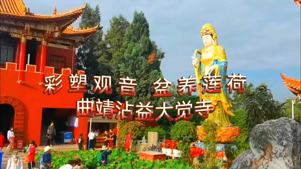 彩 塑 观 音 盆 养 莲 荷 曲靖沾益大觉寺