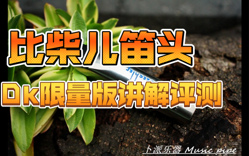 卜派说萨克斯(114)聊几期比柴尔beechler 王悆评测dk限量版哔哩哔哩bilibili