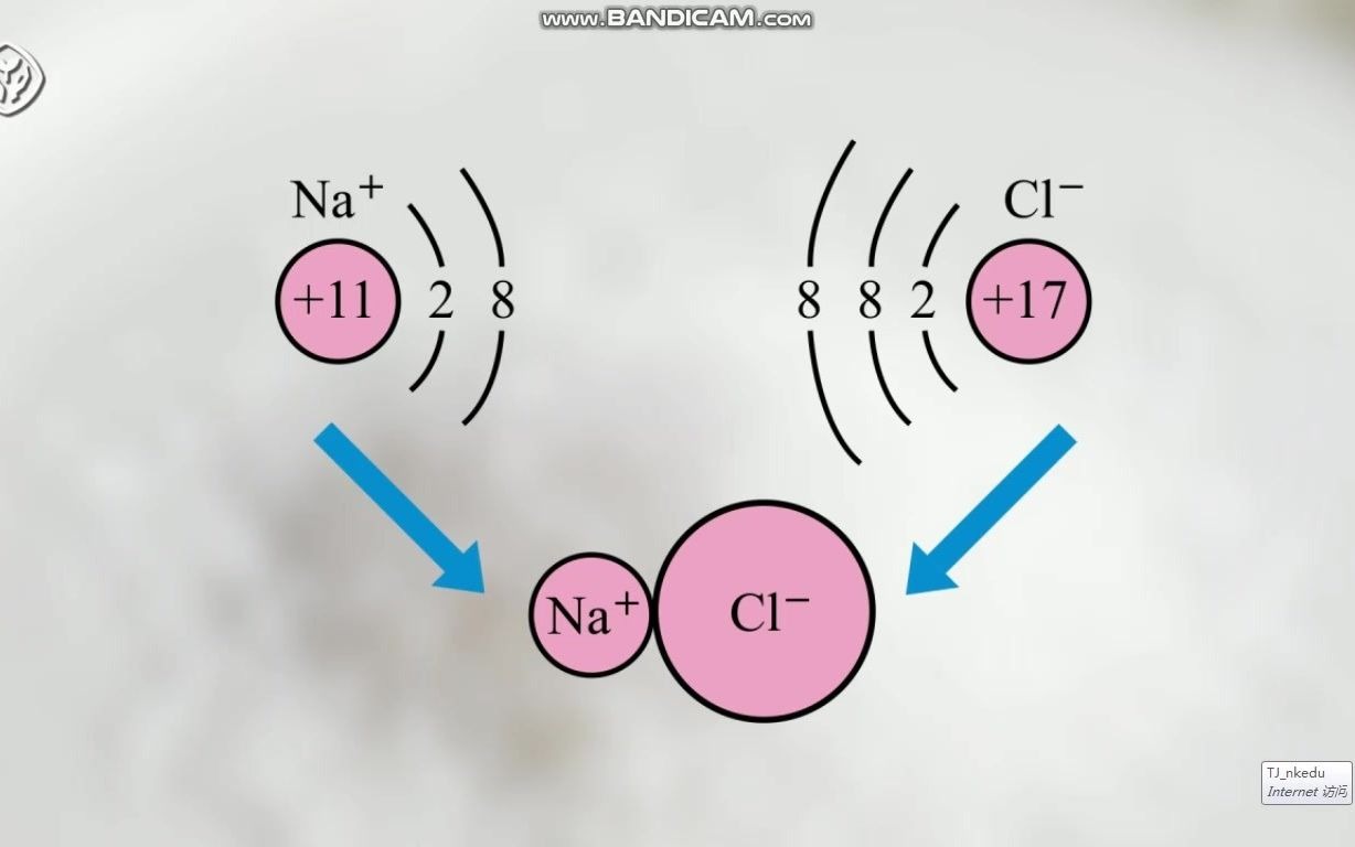 必修一:氯化钠的形成(电子转移)_哔哩哔哩_bilibili