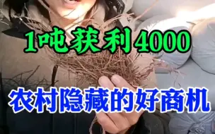 Download Video: 农村到处可见的东西，加工1吨纯利4000元，每天出两吨，你也可以