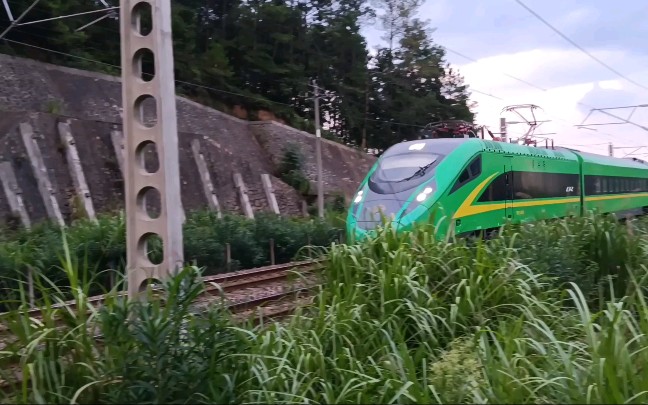 由广九客运段担当的d728次(深圳—北京西) 前身为z108次(先为z331/2次