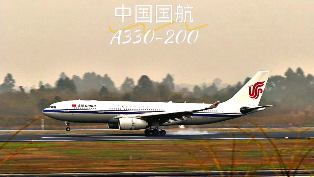 载旗国航空客a332降落