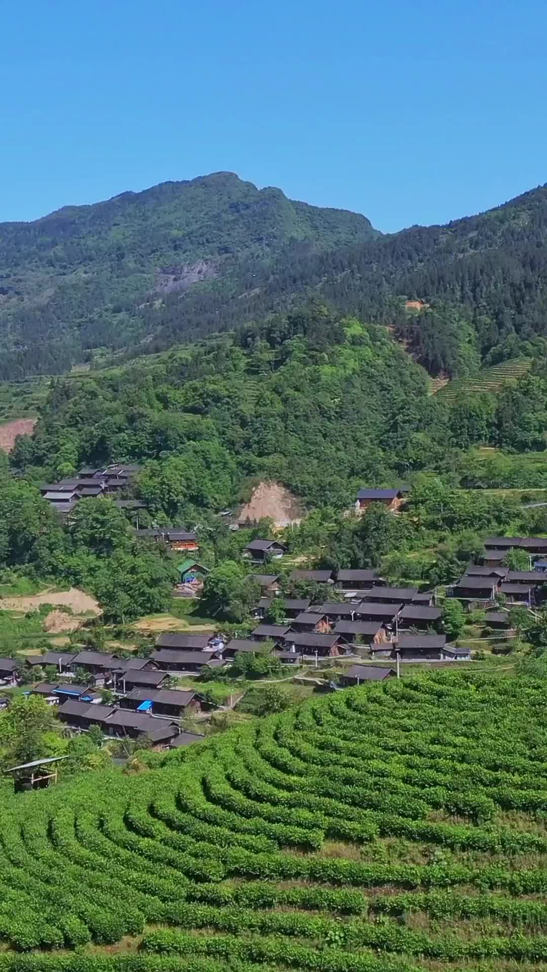 幺妹住在十三寨幺妹住在十三寨视频有点长不忍心切断