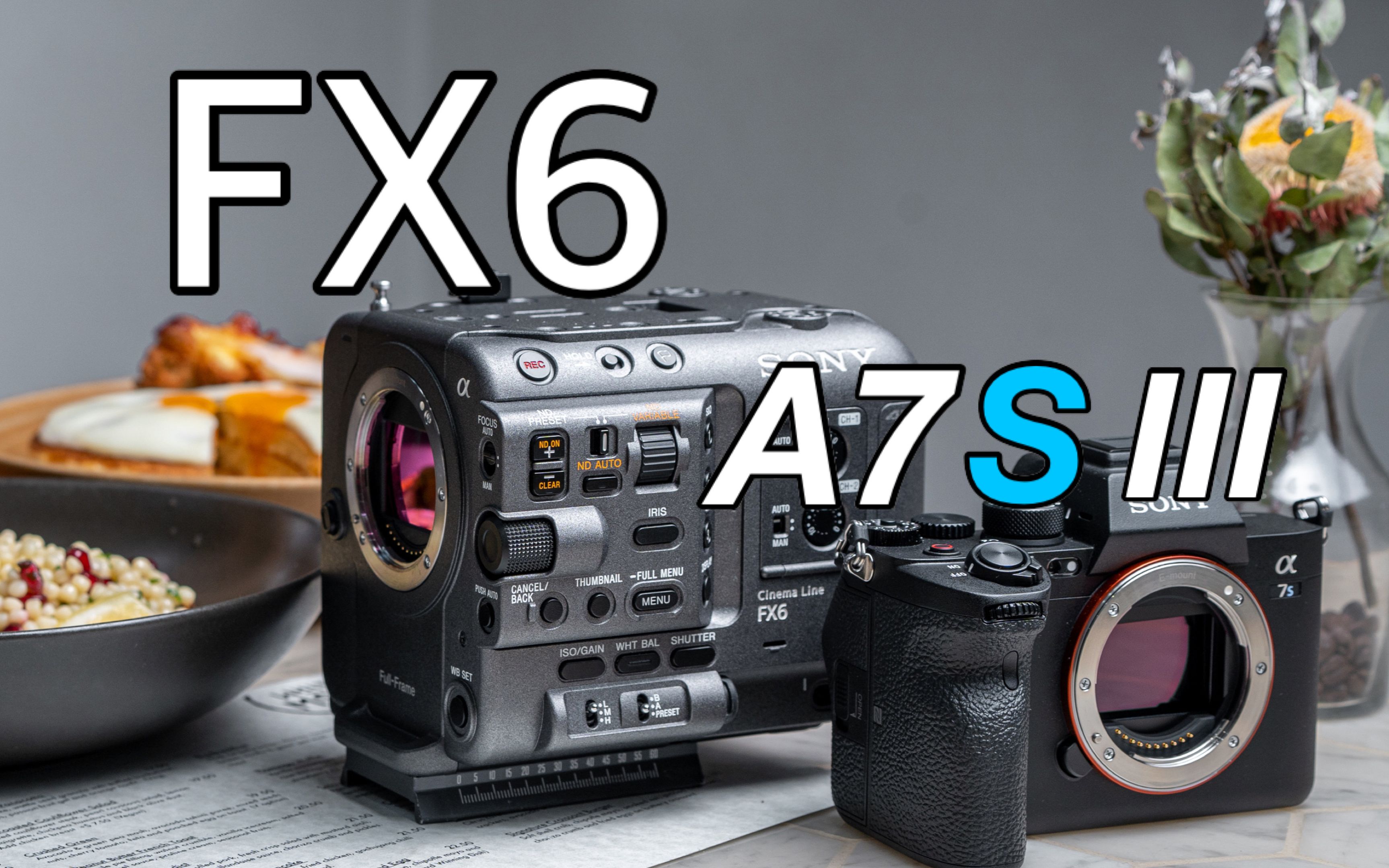 a7s3最佳伴侣索尼fx6摄录一体机使用体验