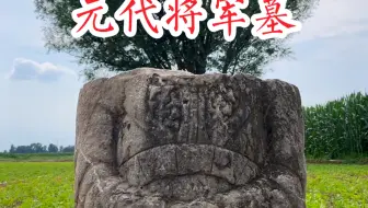 Download Video: 河南野外发现700年的元代将军墓！规模庞大，可惜变成菜地了。