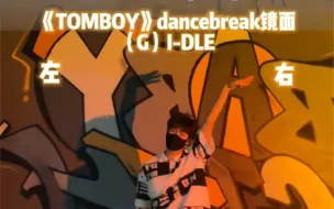 Download Video: 《TOMBOY》dancebreak镜面舞蹈翻跳