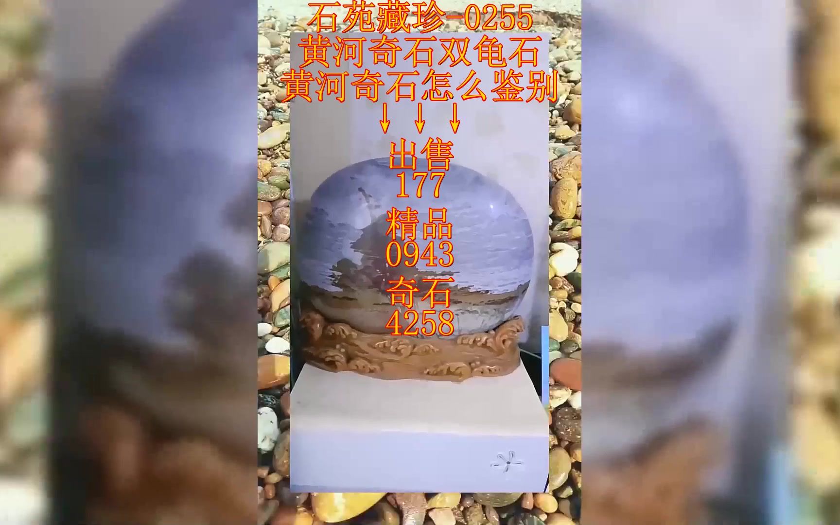 黄河奇石双龟石,黄河奇石怎么鉴别?哔哩哔哩bilibili