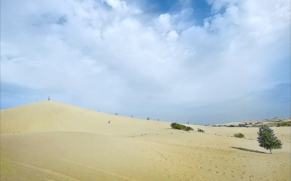 鄂爾多斯七星湖沙漠旅遊區,沙漠裡璀璨的明珠,踏青的好去處,你來過嗎?