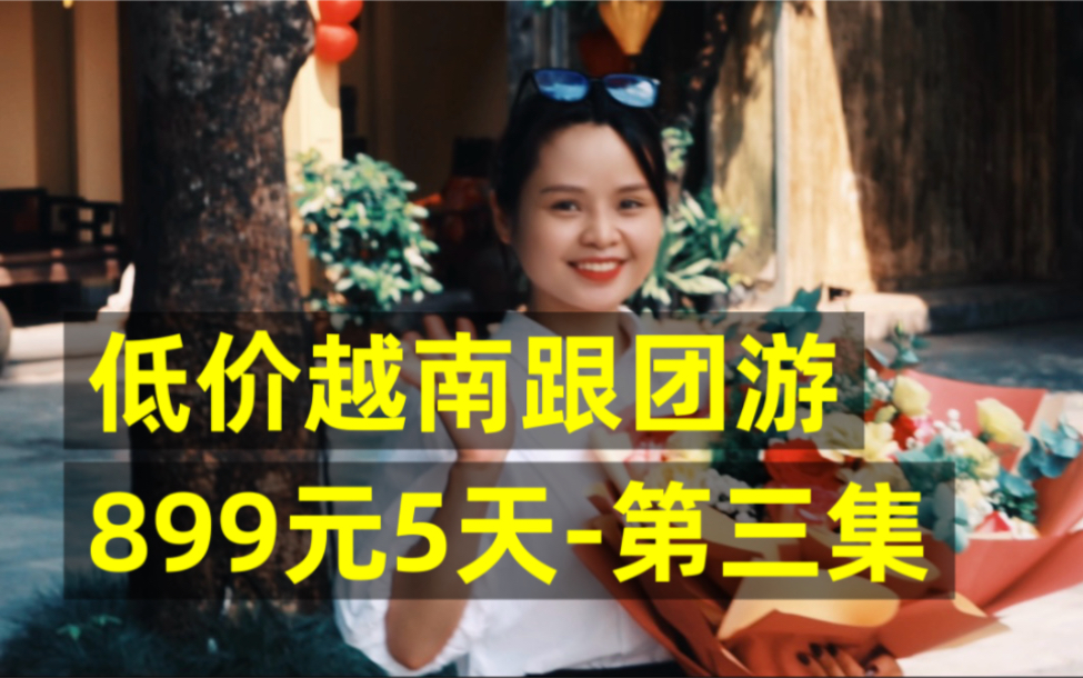 低价越南团,899元5天跟团游,价格离谱,行程如何?| 第三集哔哩哔哩bilibili